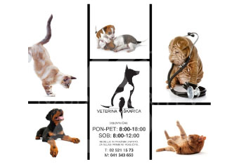 veterina v Murski Soboti