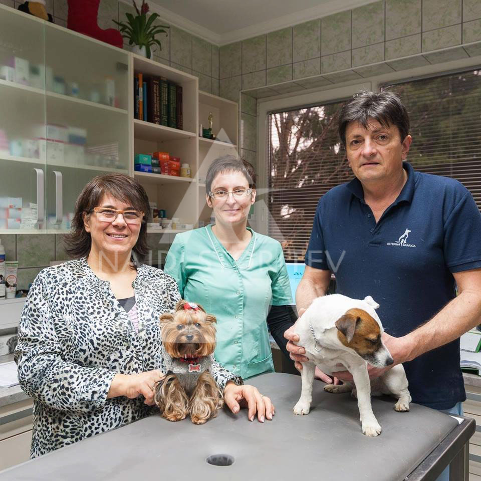 Veterina v Murski Soboti 3