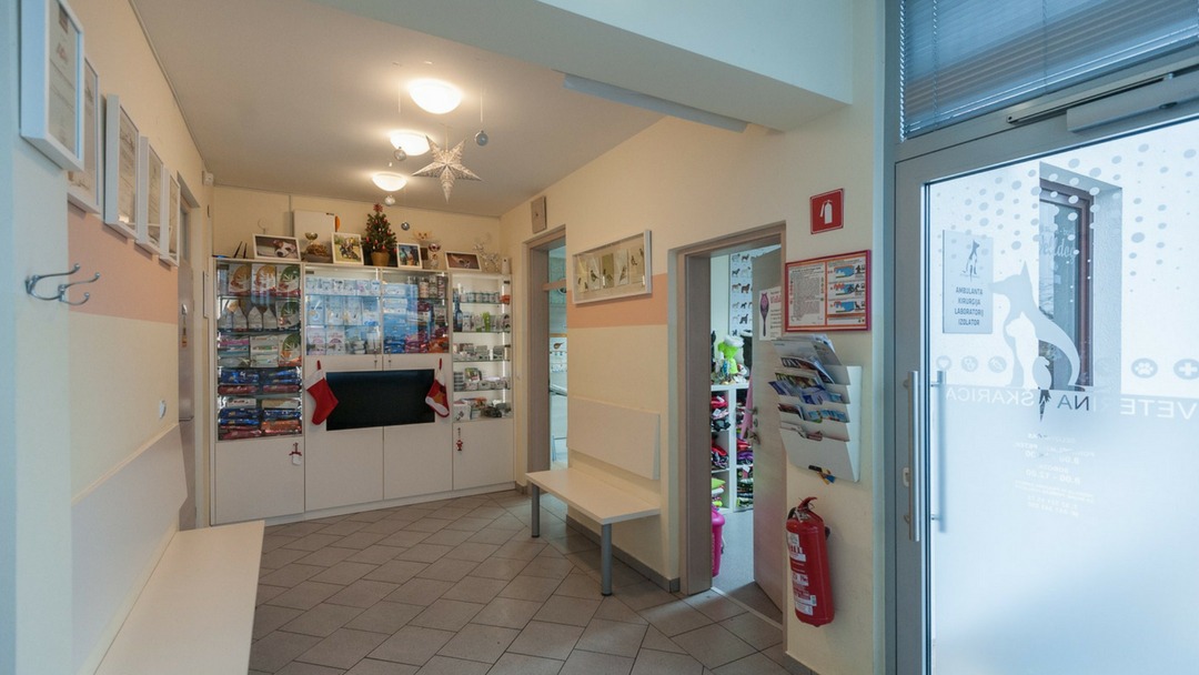 veterina v Murski Soboti