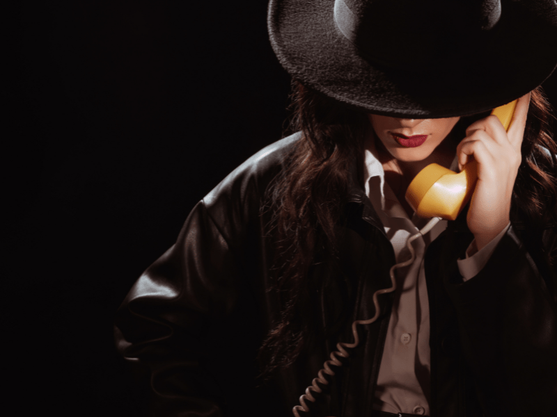 Dober zasebni detektiv Primorska